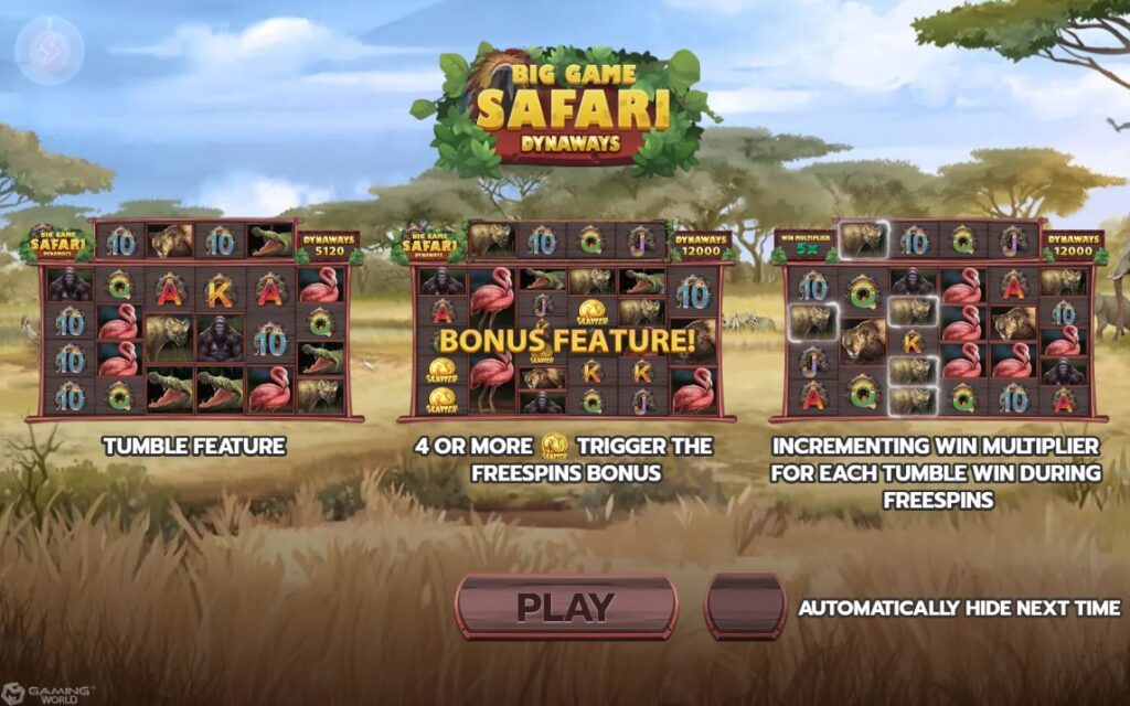 Big Game Safari